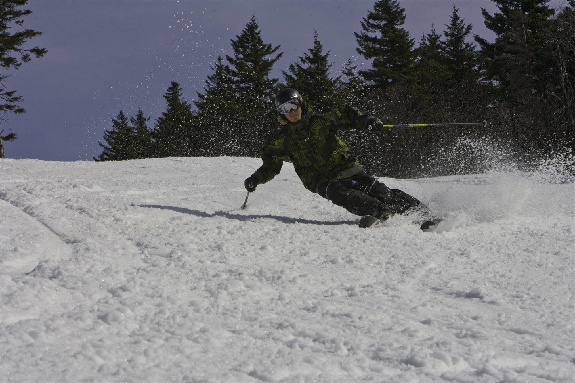Allegheny Springs Snowshoe Zewnętrze zdjęcie