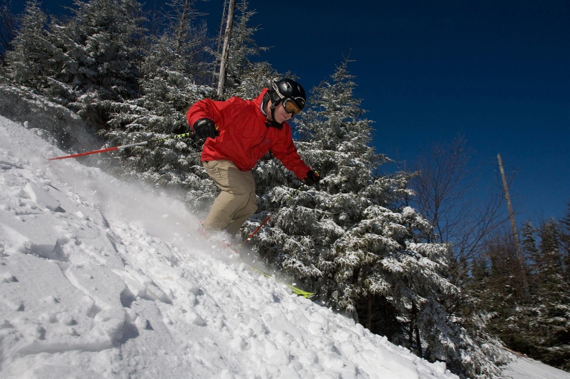Allegheny Springs Snowshoe Zewnętrze zdjęcie