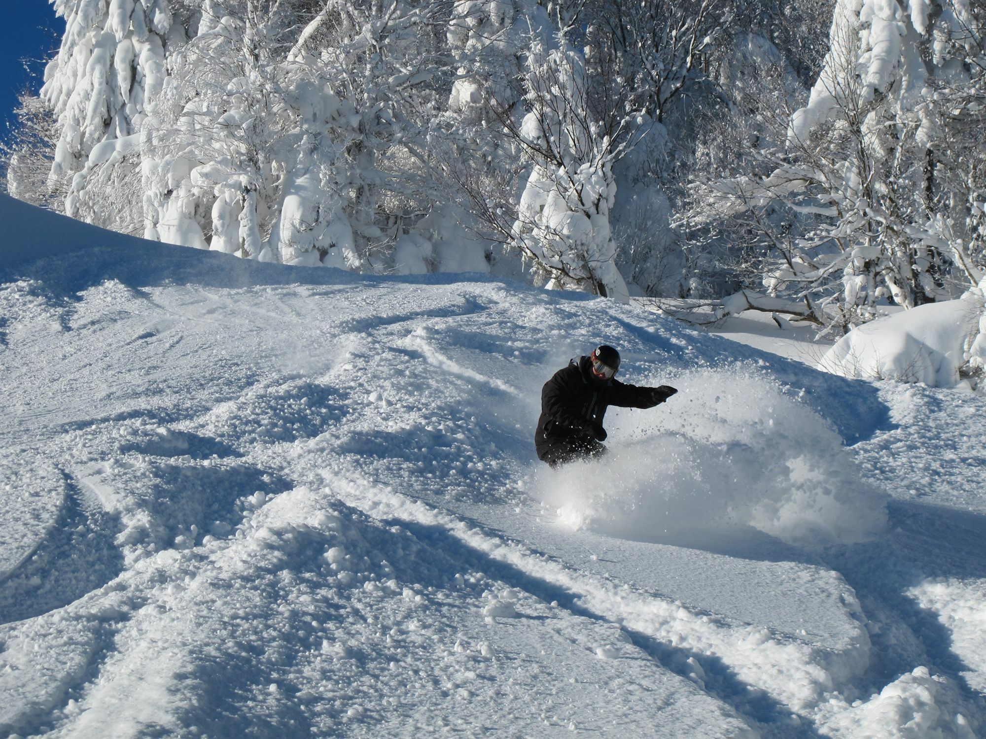 Allegheny Springs Snowshoe Zewnętrze zdjęcie